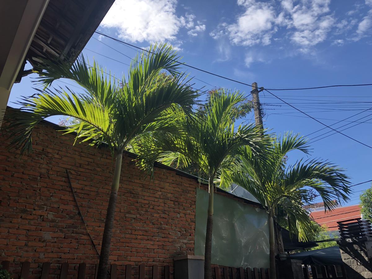 Three Palms Homestay Hoi An Eksteriør bilde